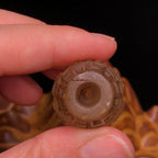 Tibetan Buddhist Collection Grade Dzi Bead | Vintage Natural Crystal Six-Syllable Mantra Dzi Bead
