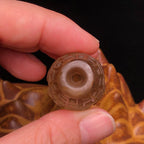 Tibetan Buddhist Collection Grade Dzi Bead | Vintage Natural Crystal Six-Syllable Mantra Dzi Bead